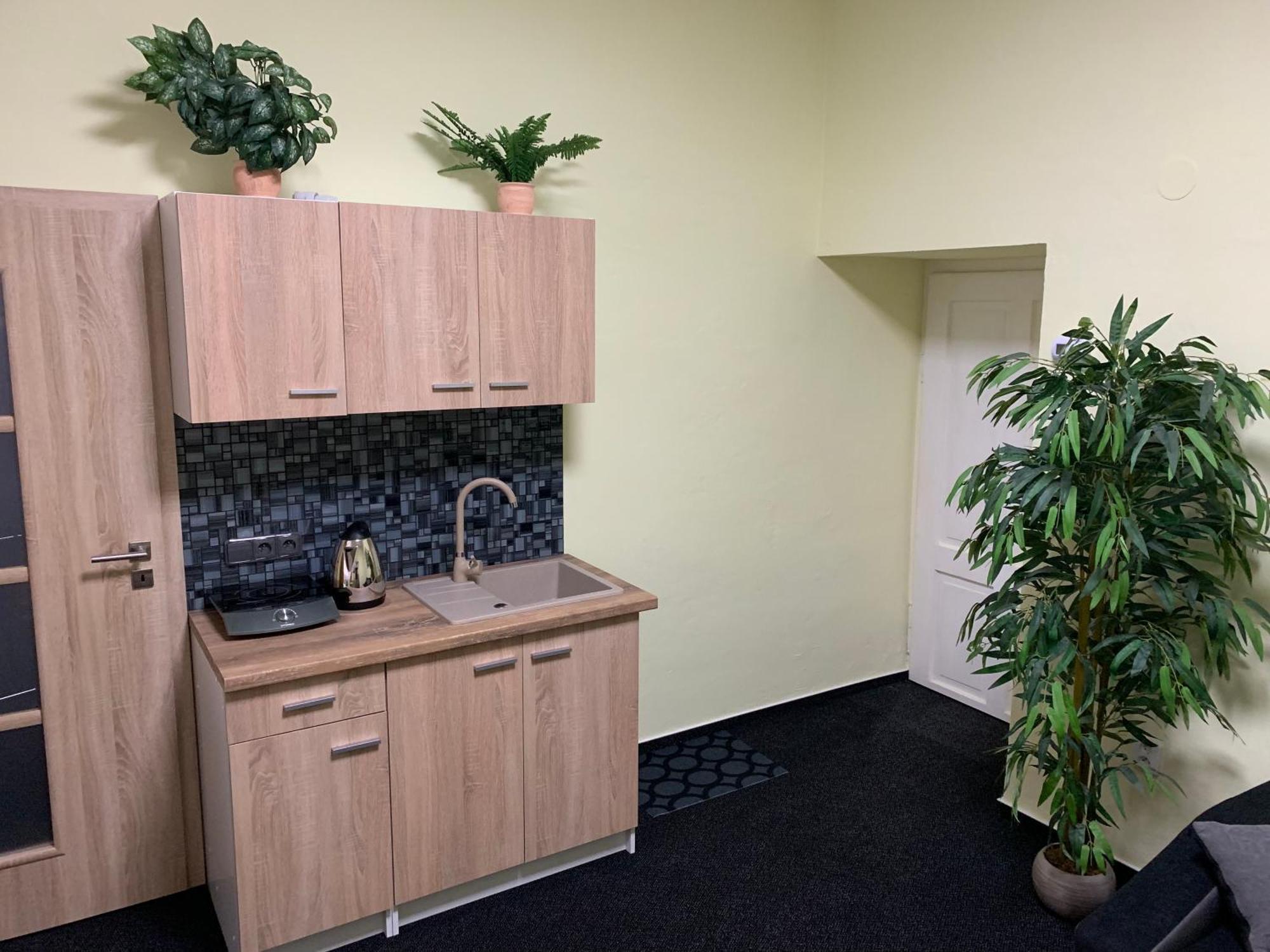 Apartman Alesta Bruntál Exterior foto